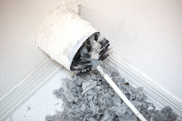 Best Local Air Duct Cleaning Services  in Bromley, KY